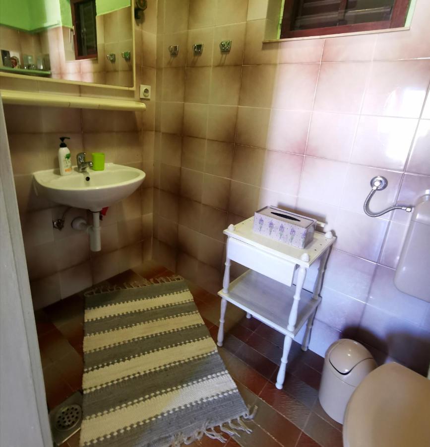 Apartment Losotovi *