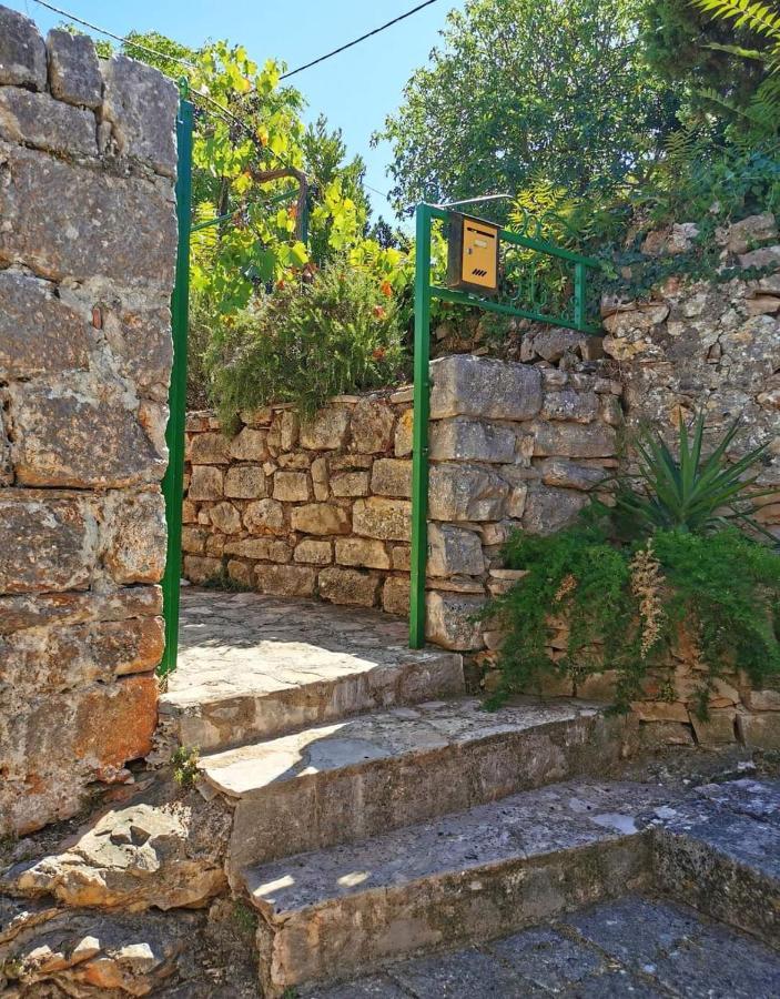 Losotovi Vrboska